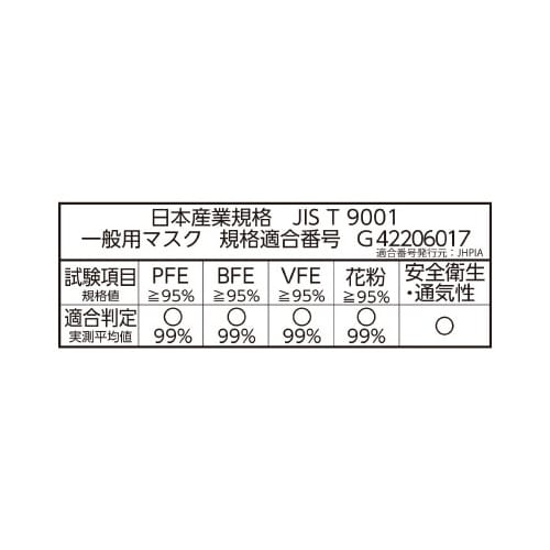 ふわるんNマスクふつう30枚入GR グレー