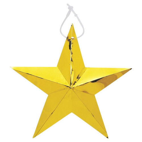 ゴールドスター(10ヶ入) ×2個