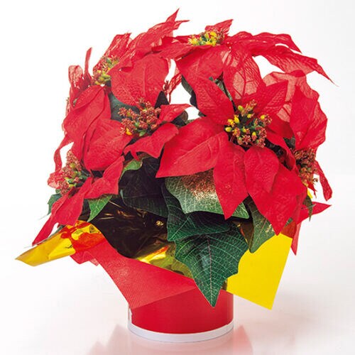 クリスマスポインセチアスタンド