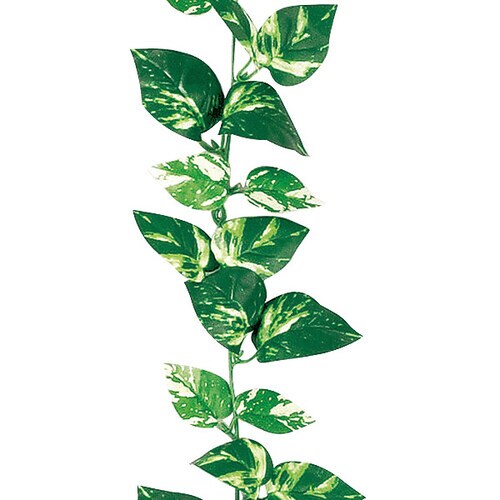 ポトスガーランド ×2本