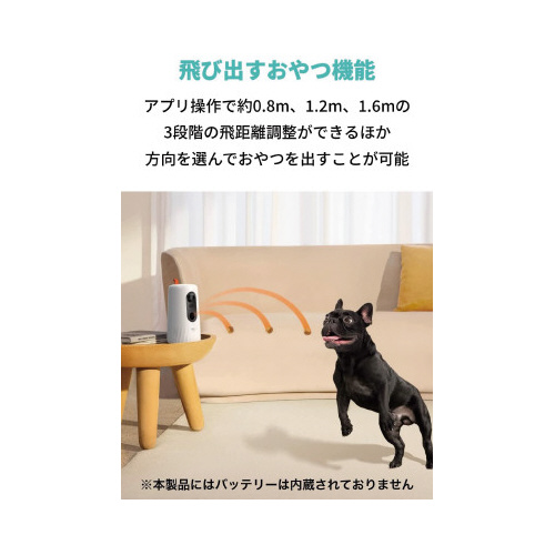 AJ[r