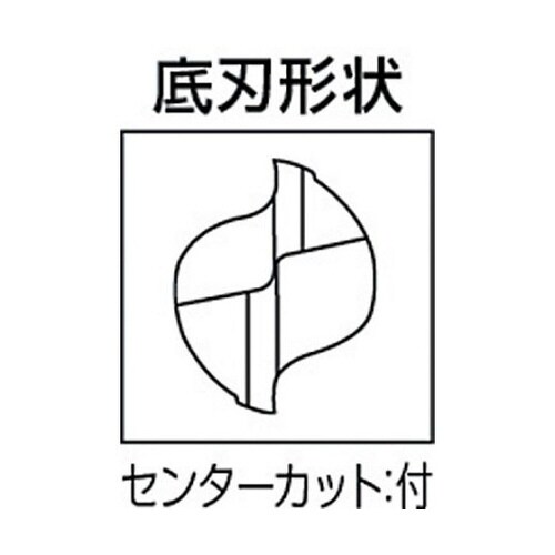 バイオレットエンドミル10.0mm 1078780