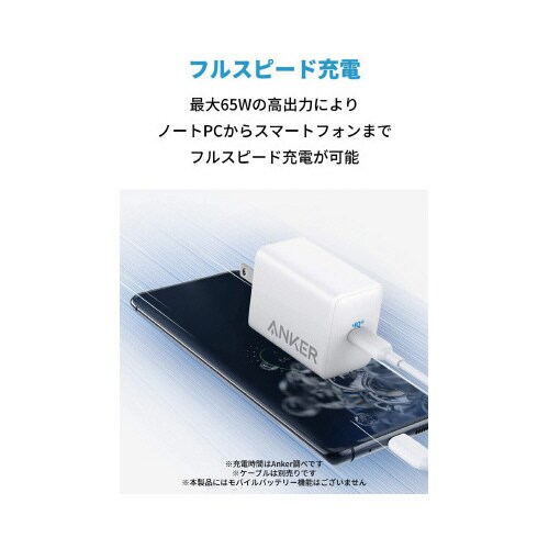 PowerPortIII 65W Pod Lite