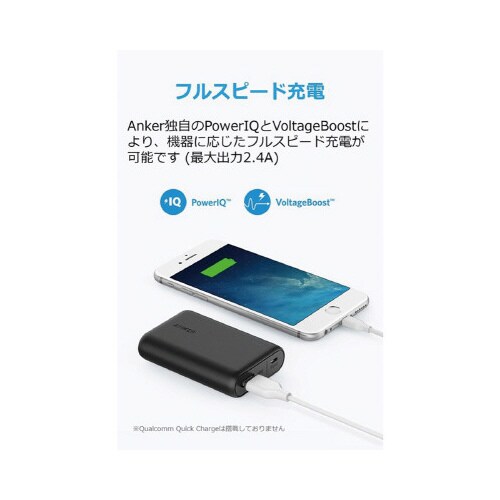 PowerCore 10000 A1263N119