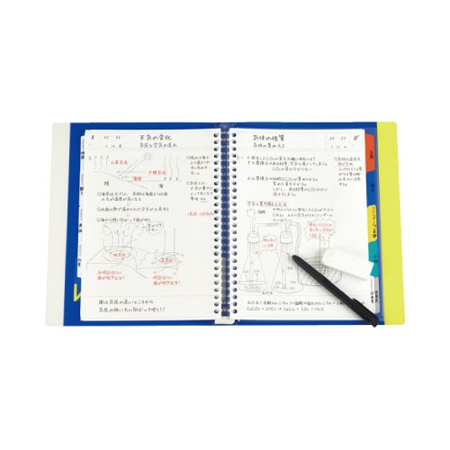 ダブルインデックス B5 5山X2×10