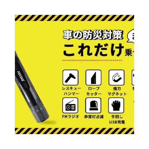 ASSIKEダイナモラジオライト