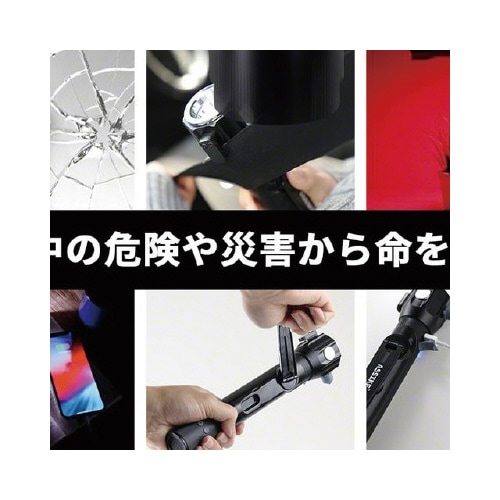 ASSIKEダイナモラジオライト