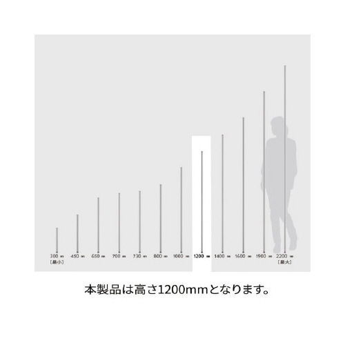 GN^[@x[VbNV[Y@|[@ubN