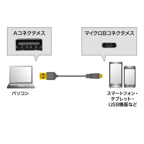 }CNtraP[u