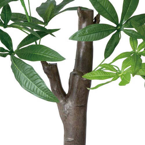 パキラ (人工樹木) 朴の木タイプ