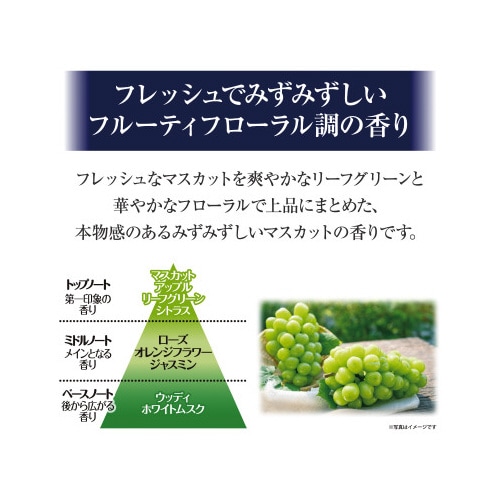 バラ)サワデー香るスティックマスカット&リーフ70