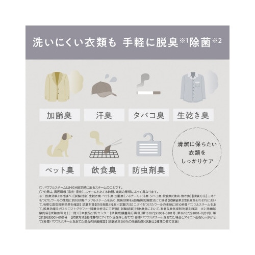 コンパクト衣類スチーマー アイボリー 2WAY対応