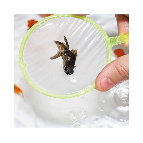 スーパーボール1000個すくいどり大会