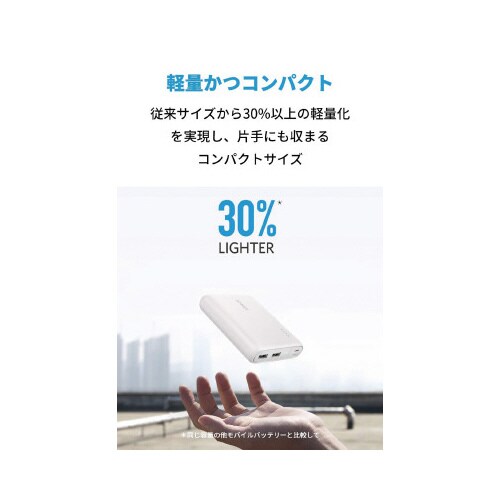 PowerCore 13000 A1215021