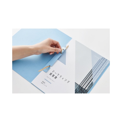 ペーパールーパー