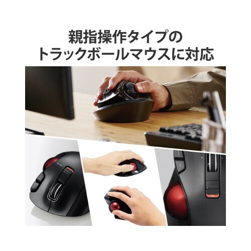 トラックボールマウス用ディスクパッド