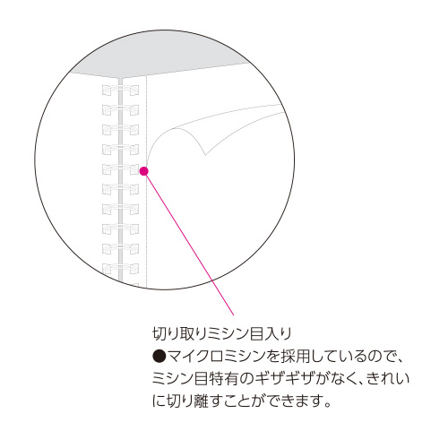 LpXm[g