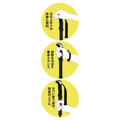 健康いっぽん杖 ブラック