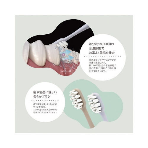 電動音波式歯ブラシ ウルニック ベージュ