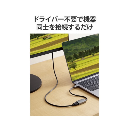 タイプC変換ケーブル タイプC−HDMI シルバー