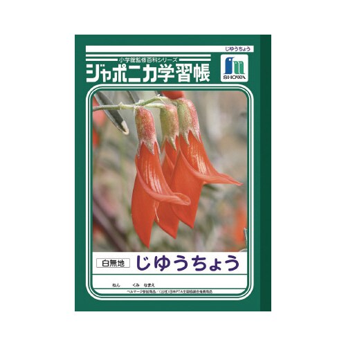 ショウワ ジャポニカ学習帳 B5 JL72×20