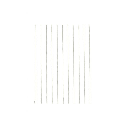 便箋 白孔雀 LP3267