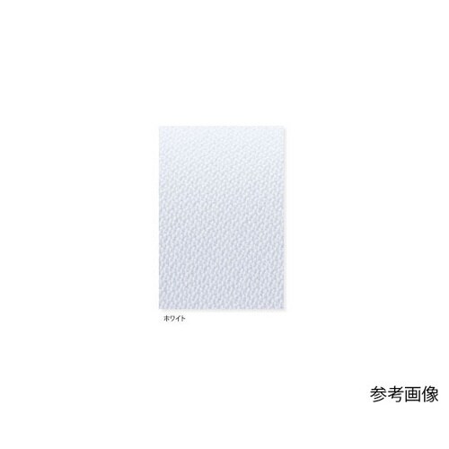 ワンピース Tピンク EL