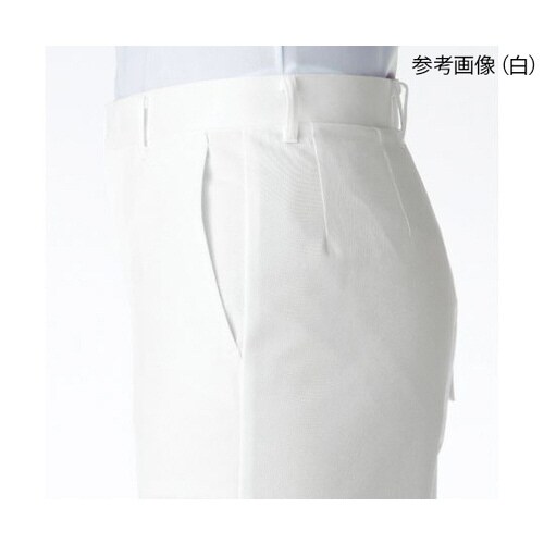 メンズスラックス サックス W82