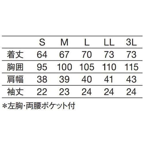 レディス医務衣 半袖 白 3L