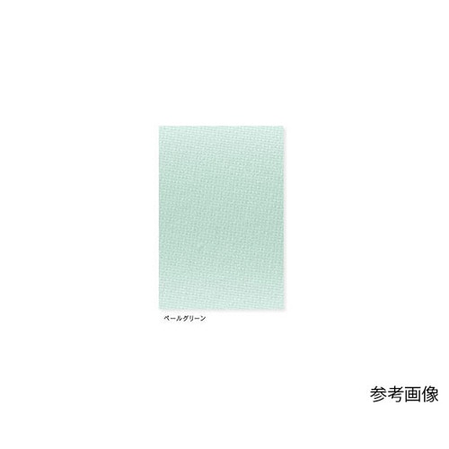 女子上衣 ペールG EL