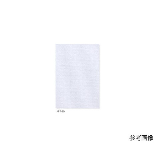 女子上衣 ホワイト M