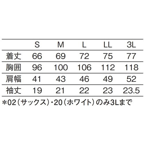 Tシャツ サックス S