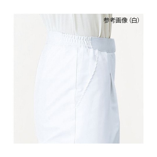 レディススラックス サックス M