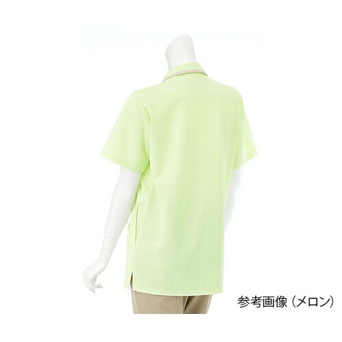 ニットシャツ メロン LL