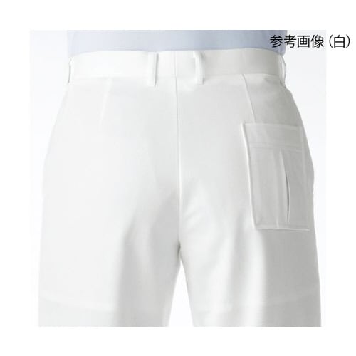 メンズスラックス サックス W91