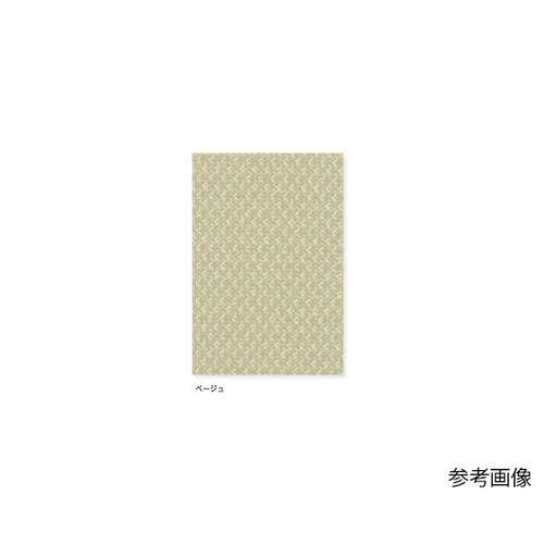 女子パンツ ベージュ EL