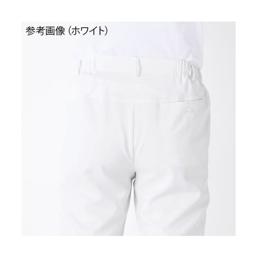 メンズパンツ チャコールグレー LL