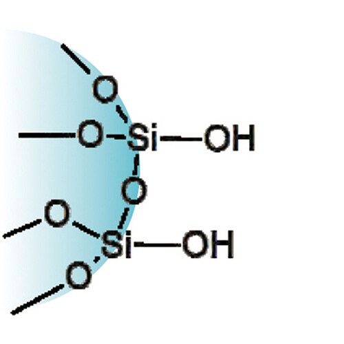 固相抽出カラム(シリカゲルベースSilica)
