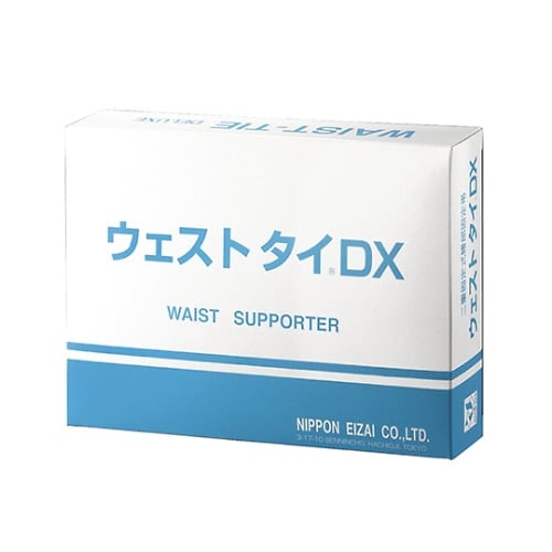 ウエストタイDX 3L 1個