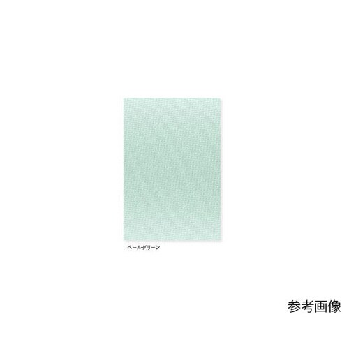 女子上衣 ペールG LL