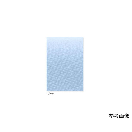 ケアガウン ブルー L