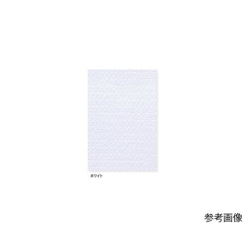 ワンピース ホワイト EL