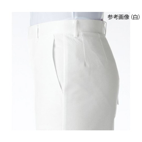 メンズスラックス サックス W120