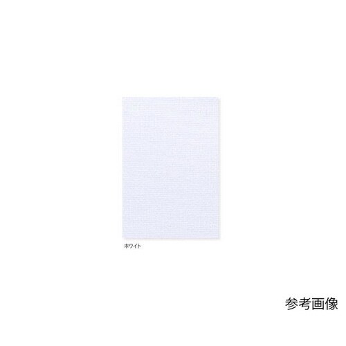 女子上衣 ホワイト LL