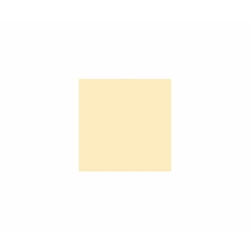 ラシャ紙 全判 クリーム 10枚