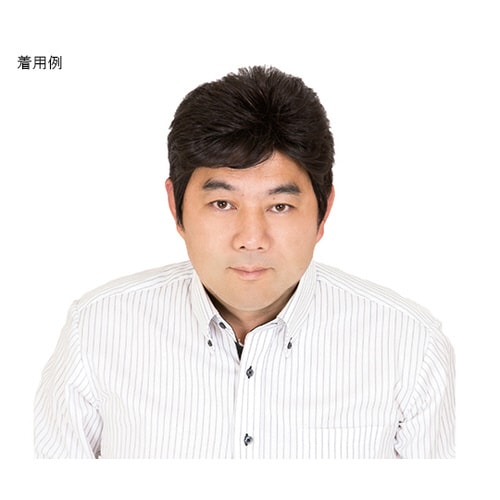 フルウィッグ 男女兼用 ナチュラルブラック