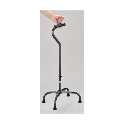 テトラ・ケイン ラージベース 青墨 S