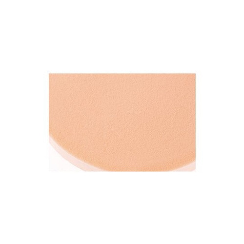 スポンジ(パール) 10枚入り