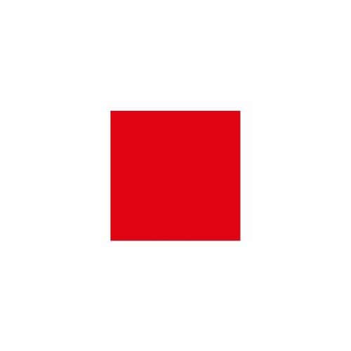 ラシャ紙 全判 赤 10枚