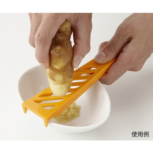 生姜おろし オレンジ